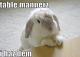 Follow These Unexpected Table Manners From Around The World